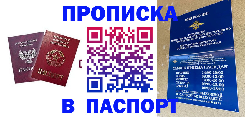 временная регистрация недорого в Люберцах
